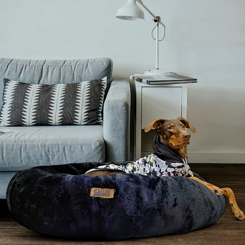 Petter World Anxiety Relieving Donut Bed for Dogs and Cats (Charcoal)
