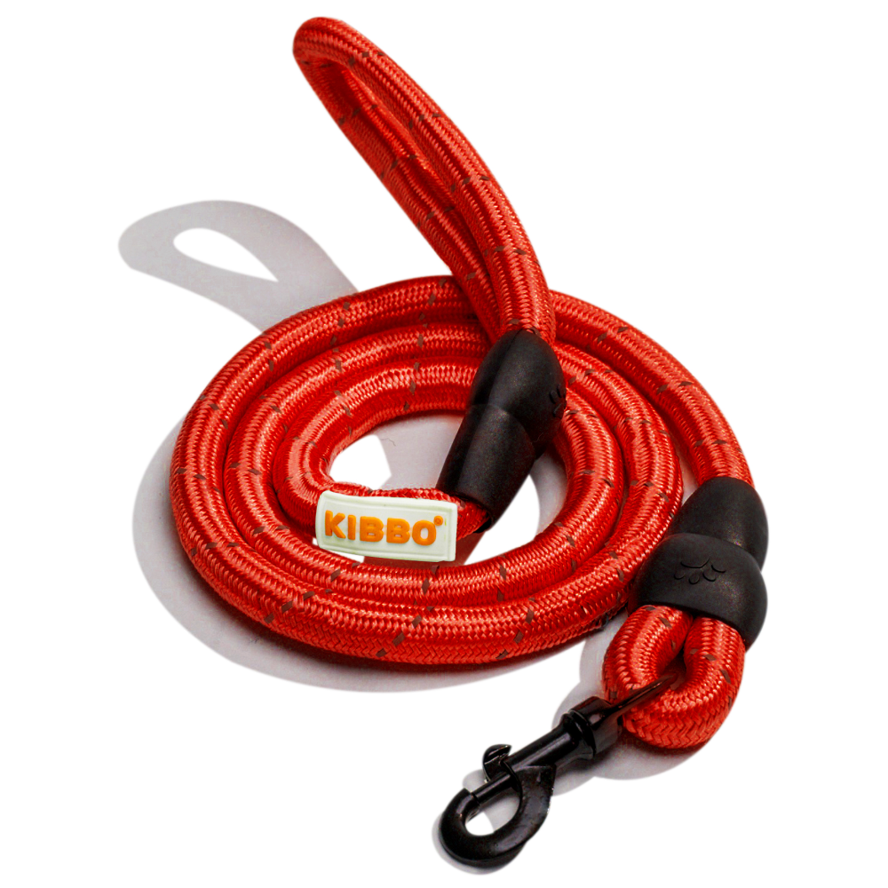 Kibbo Premium Nylon Reflective Leash for Dogs (Red)