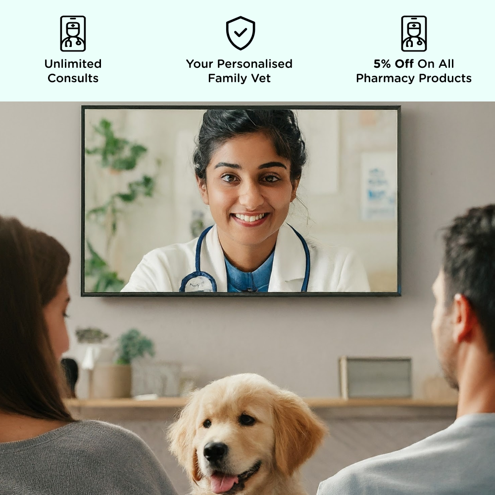 Pet Wellness plan for 12 months