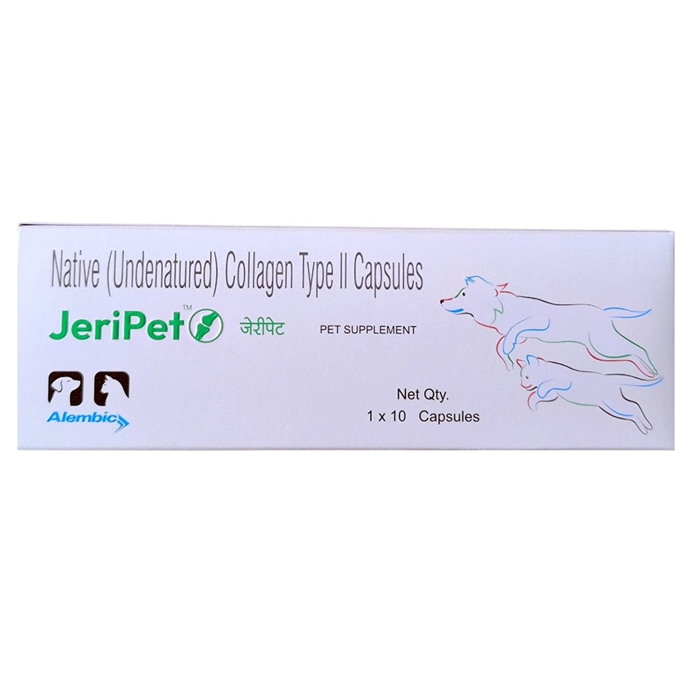 Alembic Jeri Pet Caps For Dogs And Cats