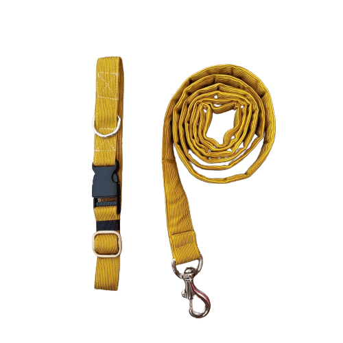 FurBuddies Collar & Leash Set for Dogs (Dandelion Yellow)