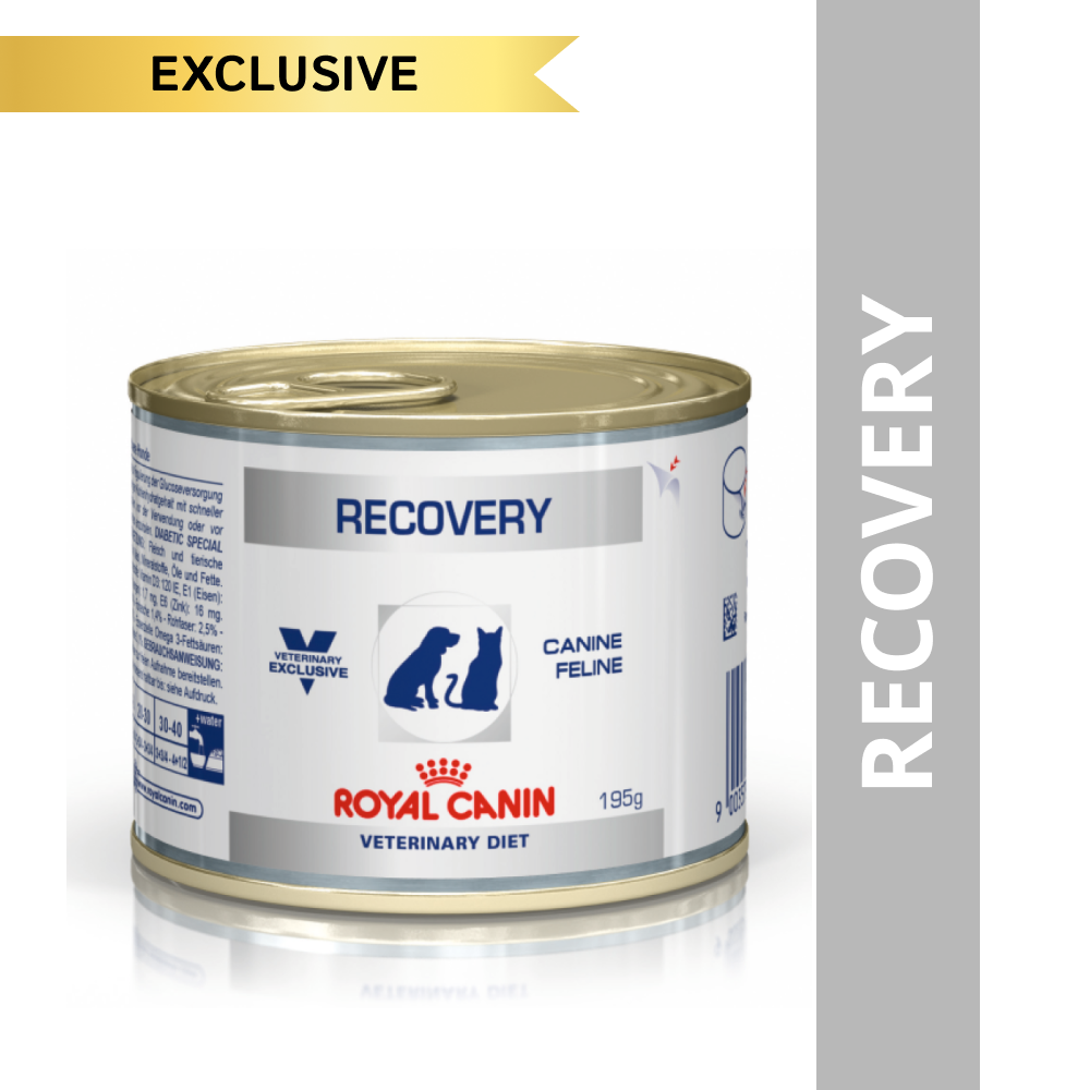 Royal Canin Recovery Canned Adult Pet Wet Food (Limited Shelf Life)