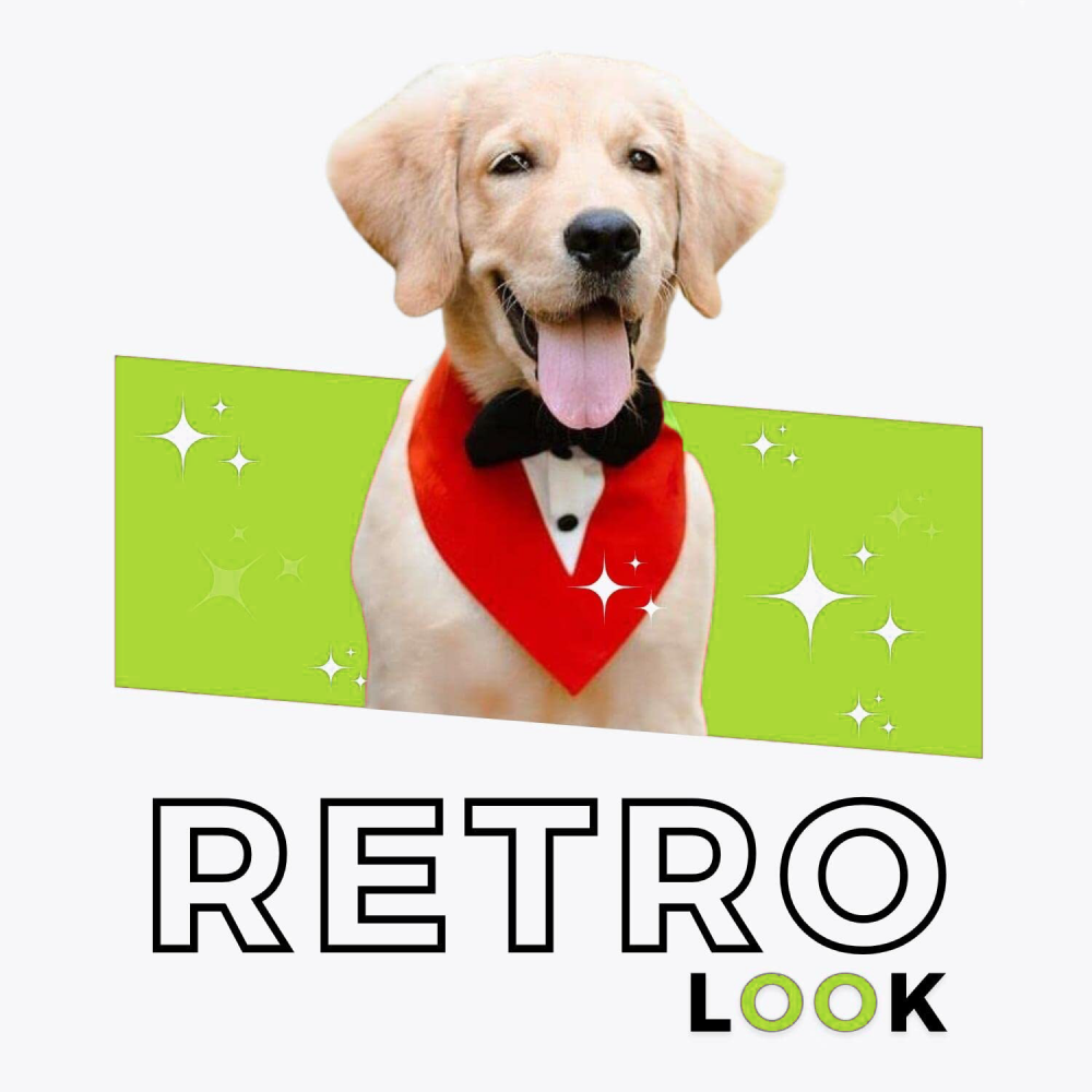 Skatrs Tuxedo Bandana for Dogs (Red/White)