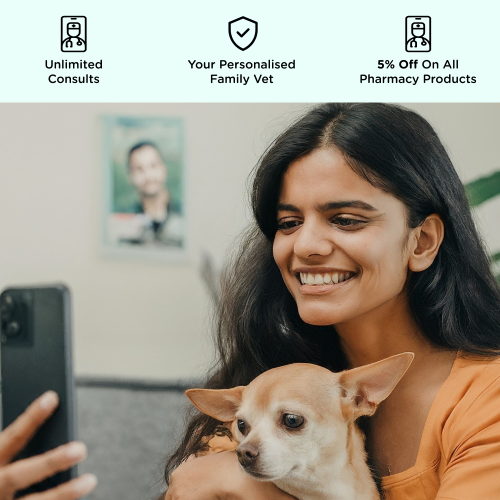Pet Wellness plan for 6 months