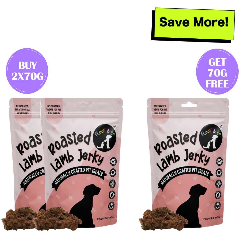 Floof & Co Slow Roasted Lamb Jerky Dog Treats (Buy 2 Get 1 Free)