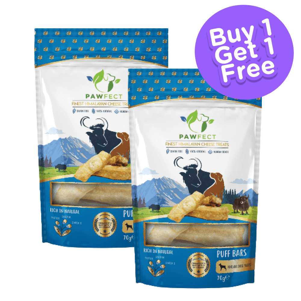 Pawfect Himalayan Cheese Chews Puff Bars Dog Treats (Buy 1 Get 1 Free)