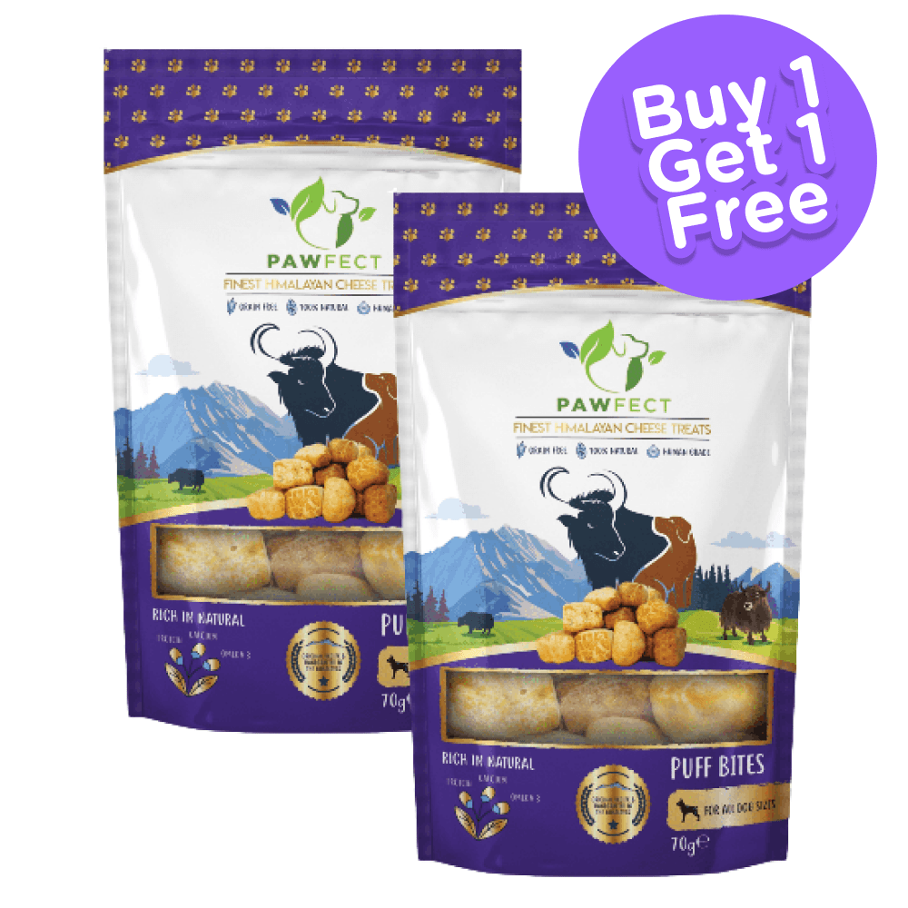 Pawfect Himalayan Cheese Chews Puff Bites Dog Treats (Buy 1 Get 1 Free)