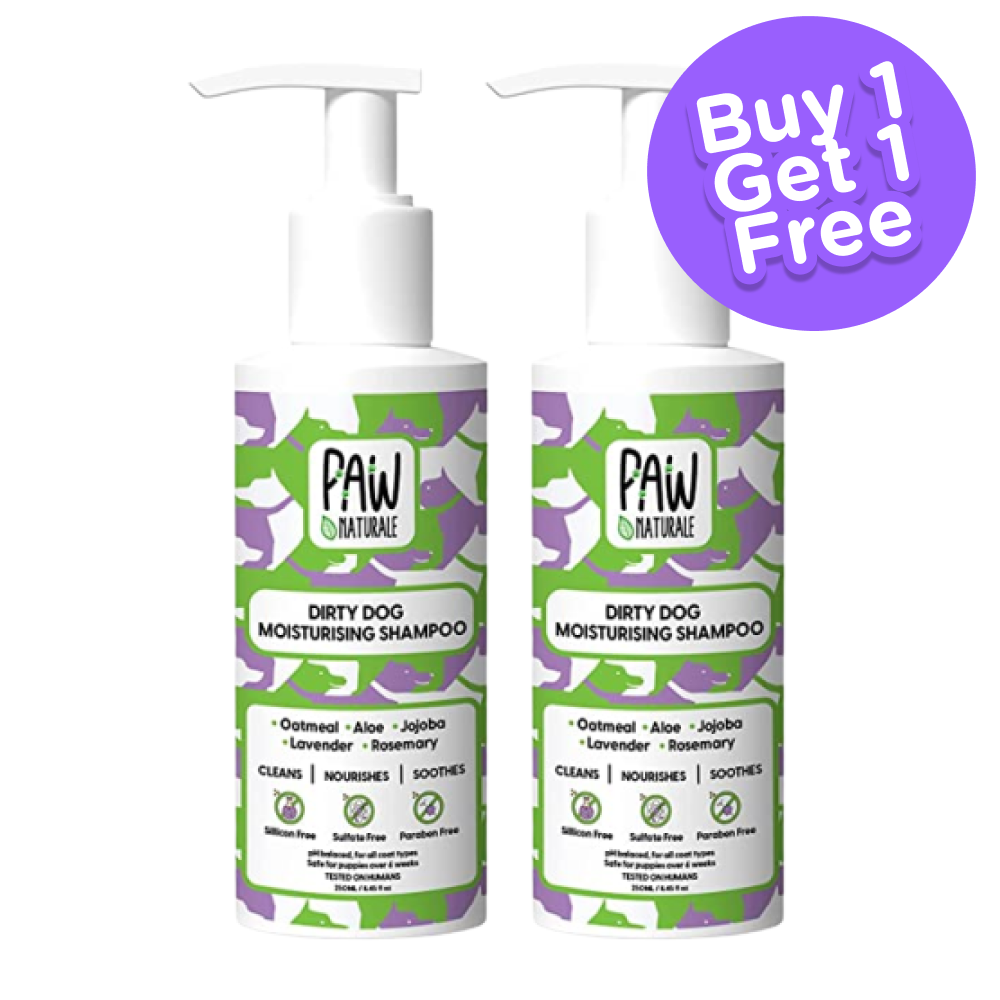 Paw Naturale Dirty Dog Moisturising Shampoo for Dogs (Buy 1 Get 1 Free)