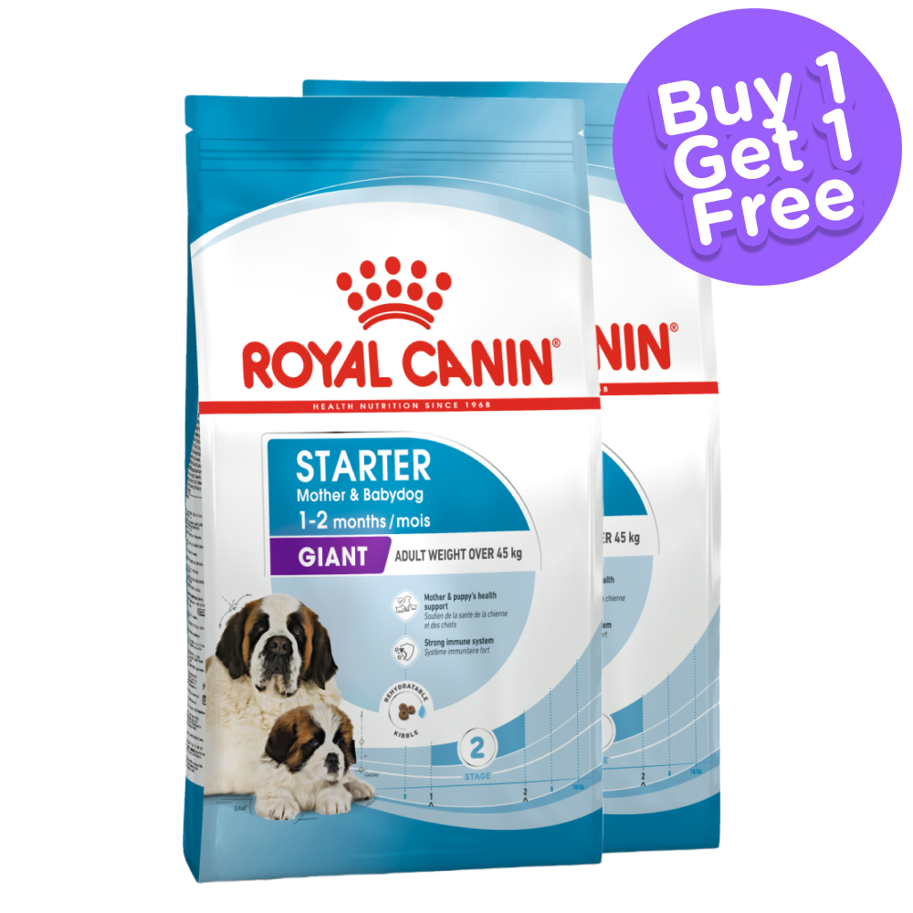 Royal Canin Giant Breed Dog and Puppies Starter Dog Dry Food (Limited Shelf Life) (Buy 1 Get 1)