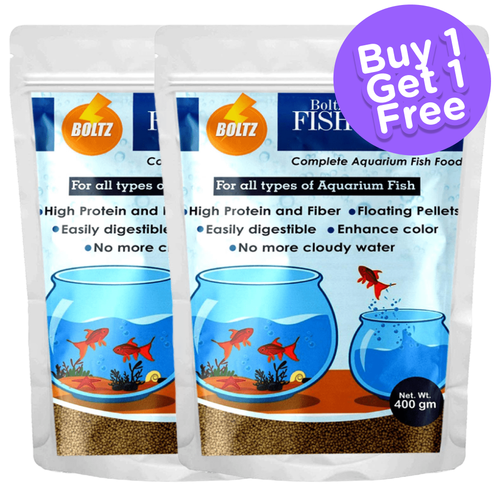 Boltz Healthy Fish Food (Buy 1 Get 1) (Limited Shelf Life)
