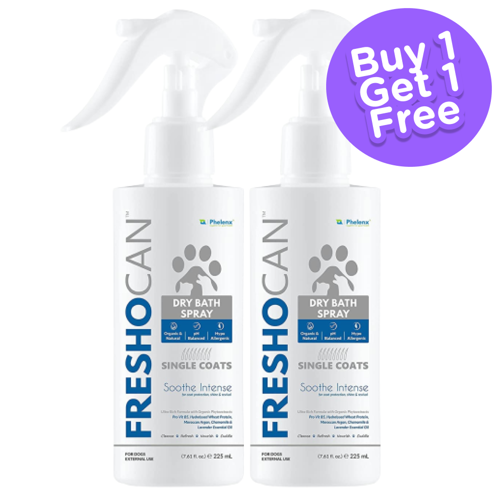 Phelenx Freshocan Single Coat Shampoo for Dogs (Buy 1 Get 1 Free)