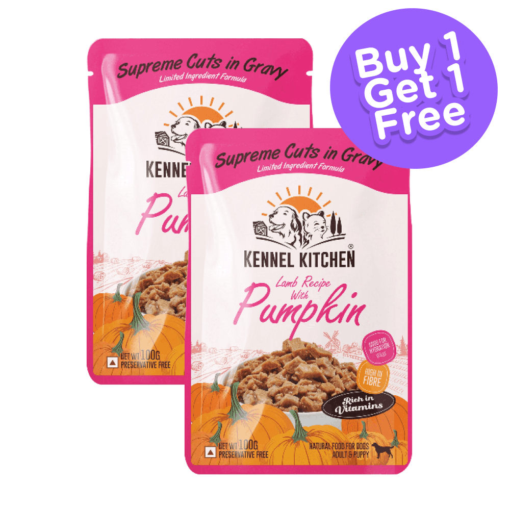 Kennel Kitchen Supreme Cuts in Gravy Lamb with Pumpkin Dog Wet Food for Adults & Puppies (Buy 1 Get 1 Free)