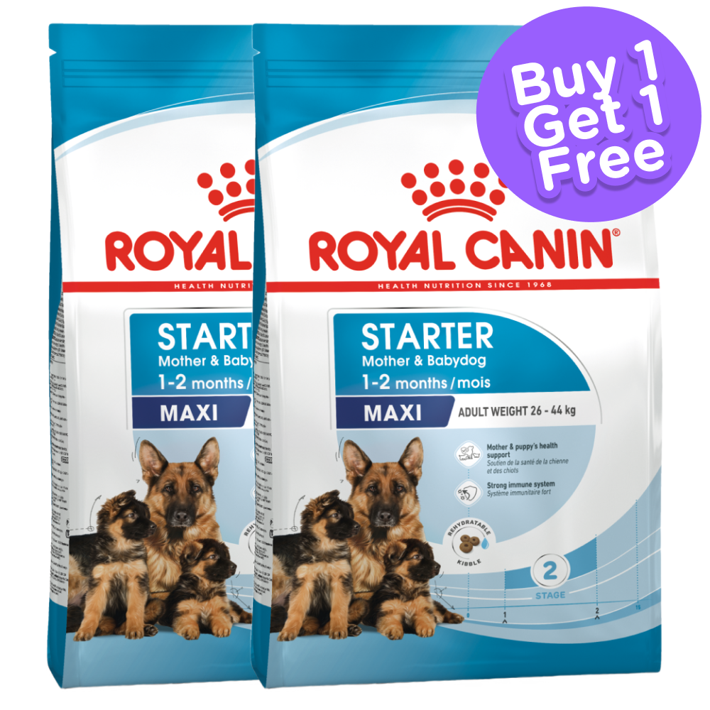 Royal Canin Maxi Starter Dry Dog Food (Limited Shelf Life) (Buy 1 Get 1)