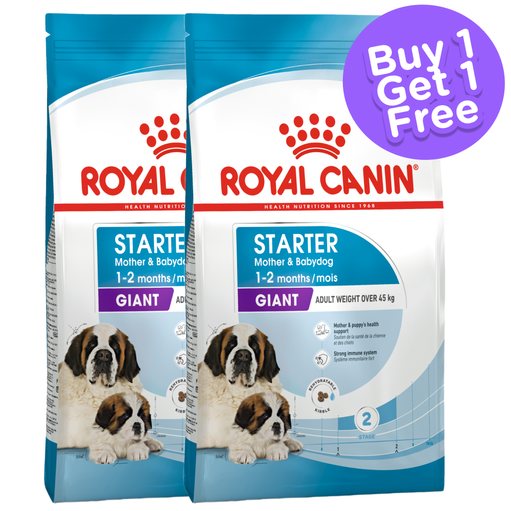 Royal Canin Giant Breed Dog and Puppies Starter Dog Dry Food (Limited Shelf Life) (Buy 1 Get 1)