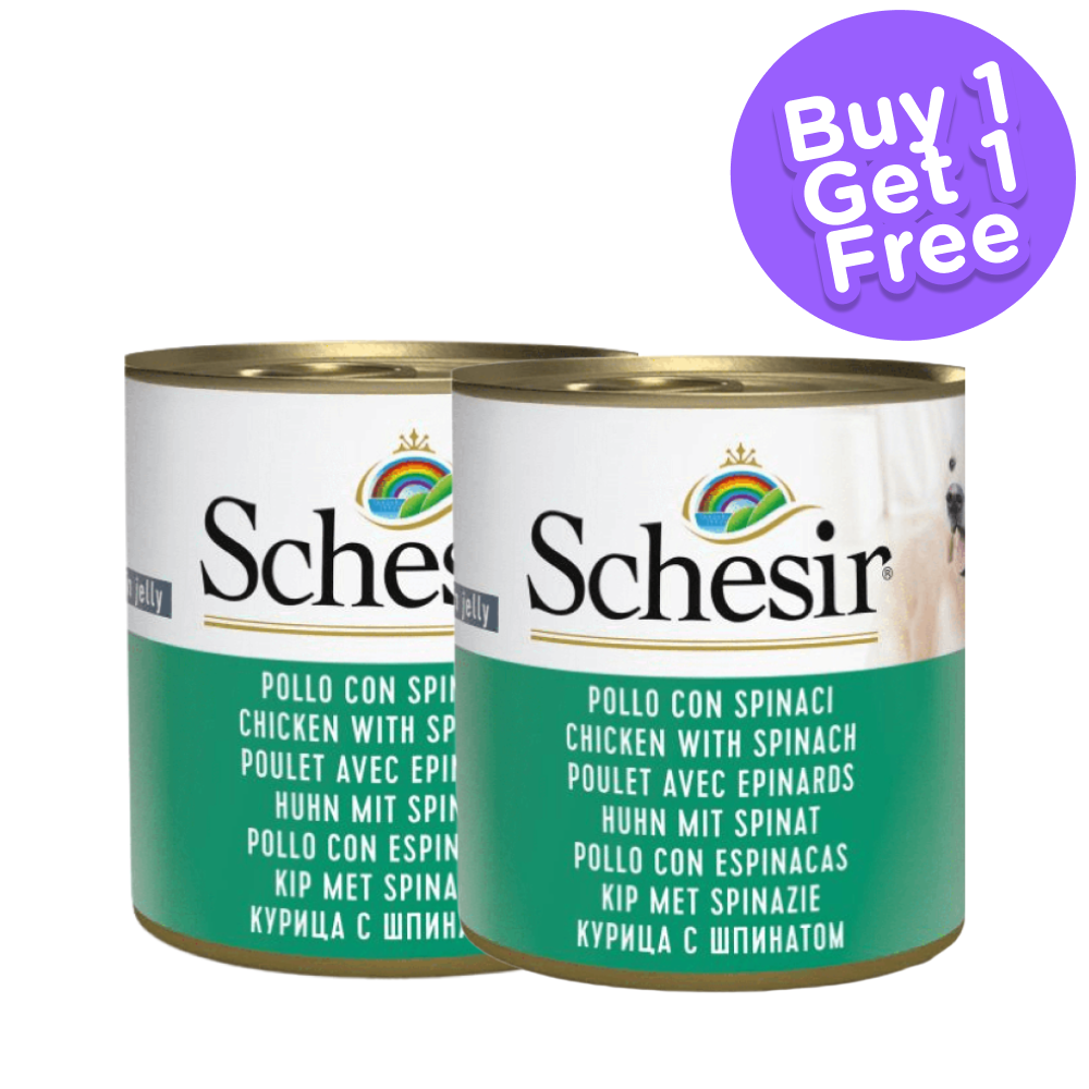 Schesir Chicken and Rice with Spinach in Jelly Dog Wet Food (Limited Shelf Life) (Buy 1 Get 1)