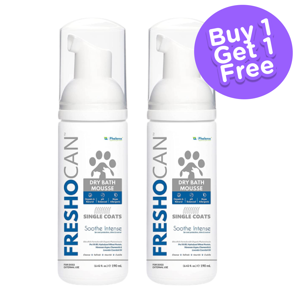 Phelenx Freshocan Single Coat Dry Bath Mousse for Dogs (Buy 1 Get 1 Free)