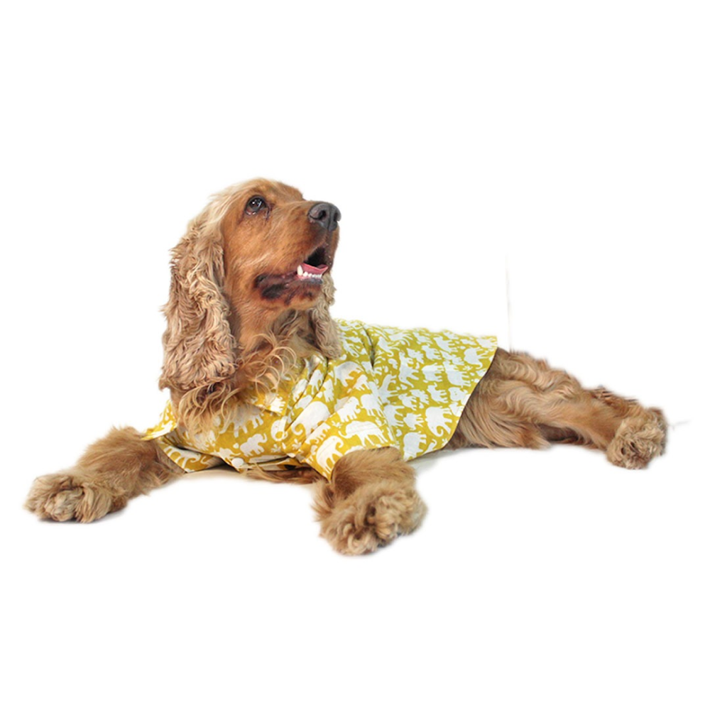 Dogobow Elephant Printed Shirt for Dogs and Cats (Yellow/White) (Get a Bow Free)