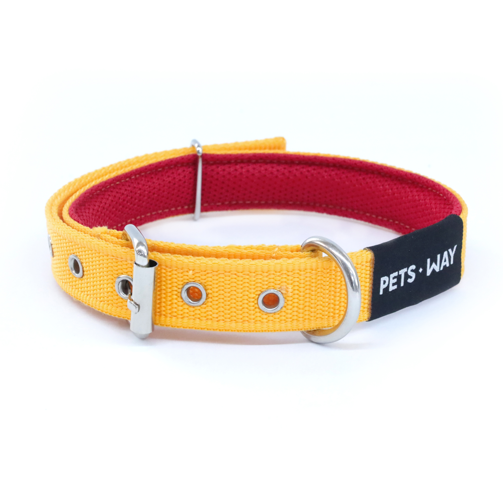 Pets Way Padded Everyday Collar for Dogs (Butterscotch)