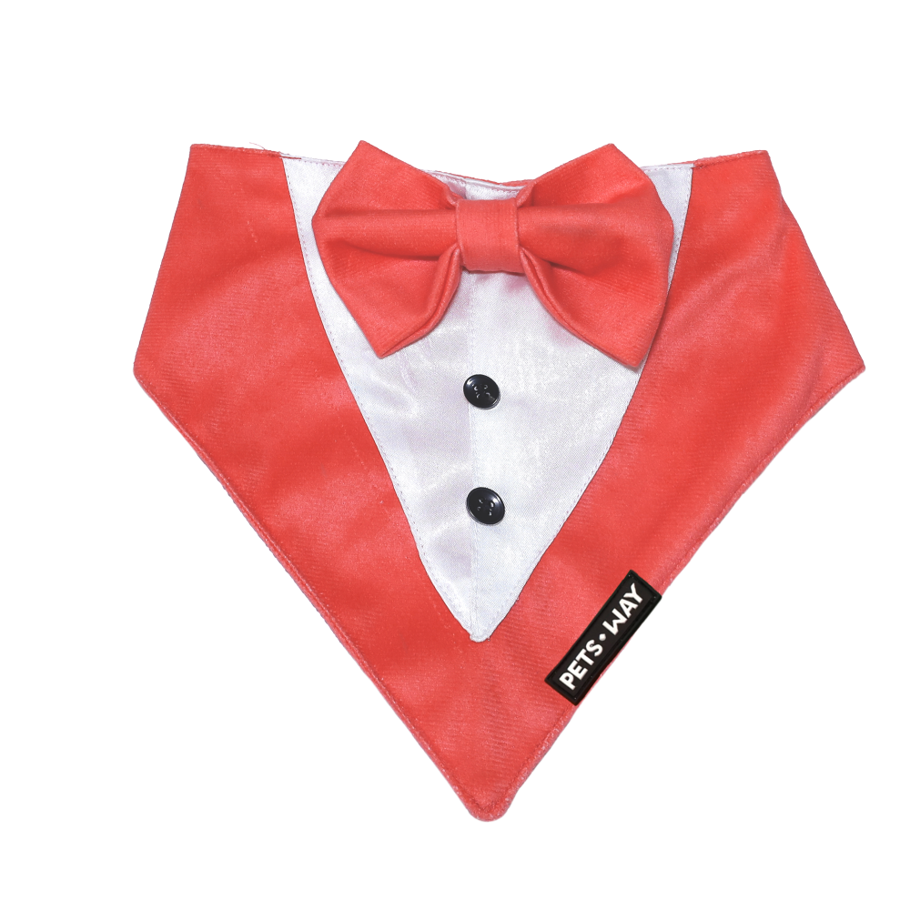 Pets Way Luxurious Velvet Tuxedo for Dogs (Coral)