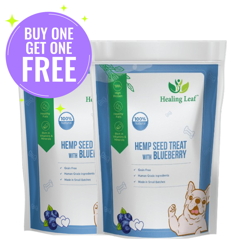 Healing Leaf Hemp Blueberry Dog Treats