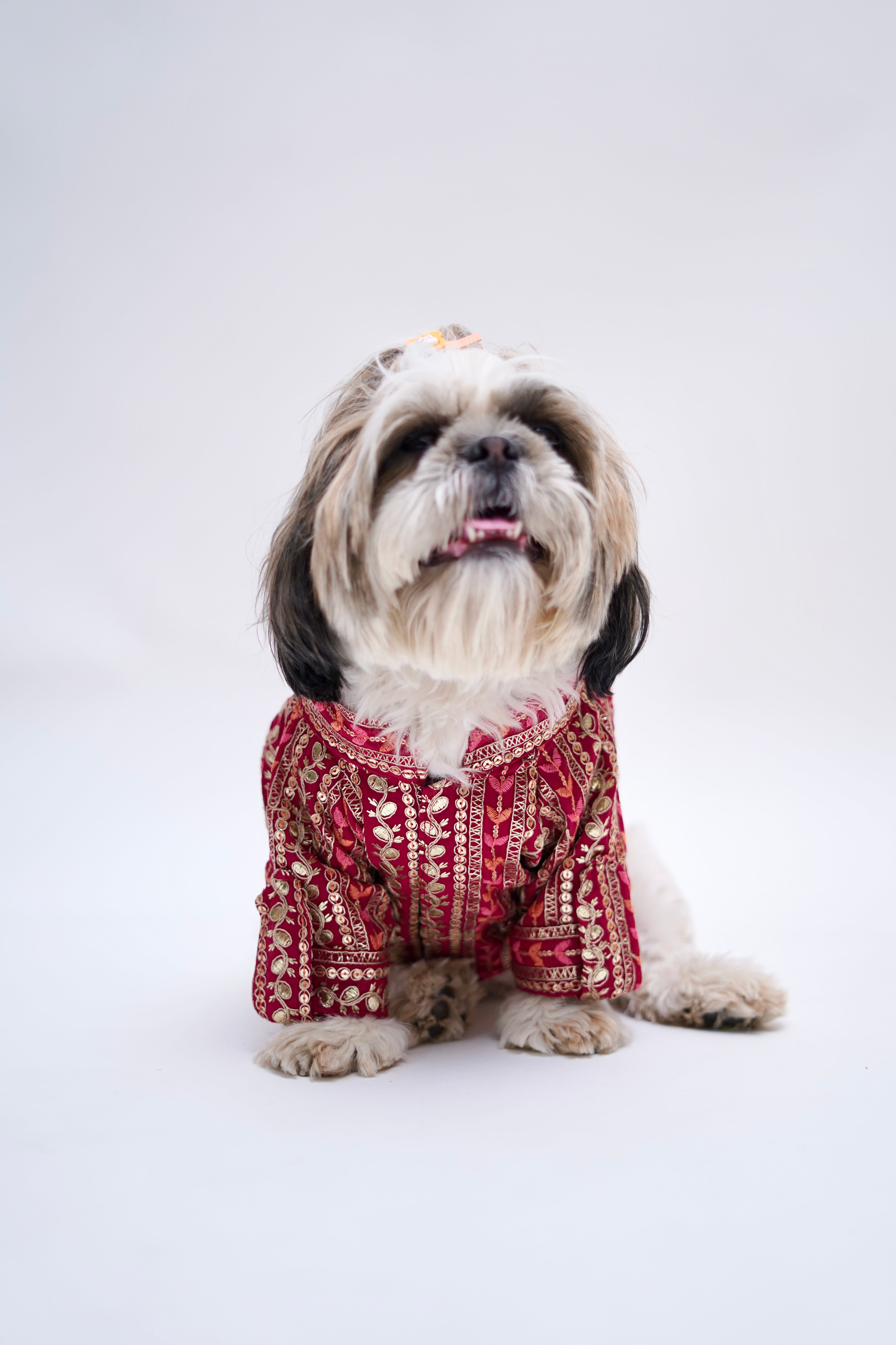 Furvanity Gota Patti Work Sherwani for Dogs and Cats (Hot Pink)