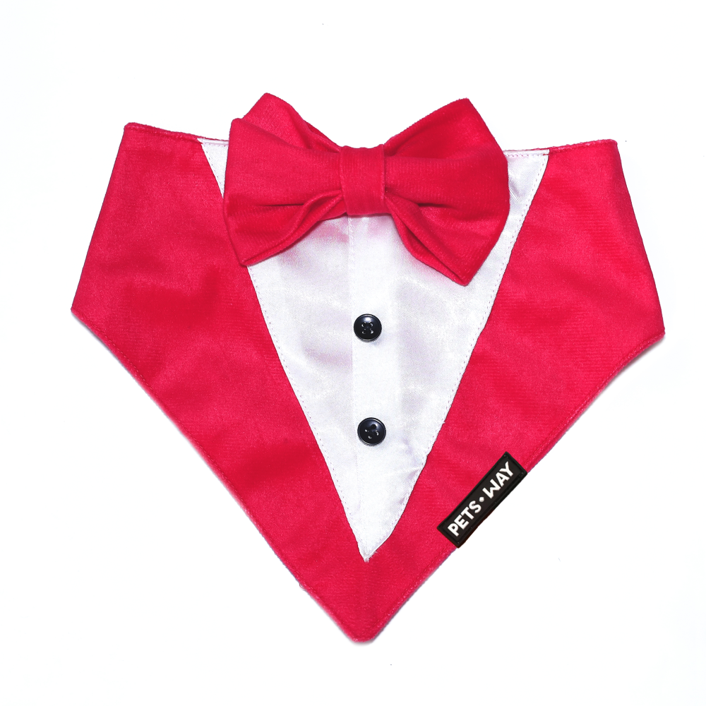 Pets Way Luxurious Velvet Tuxedo for Dogs (Fuschia)
