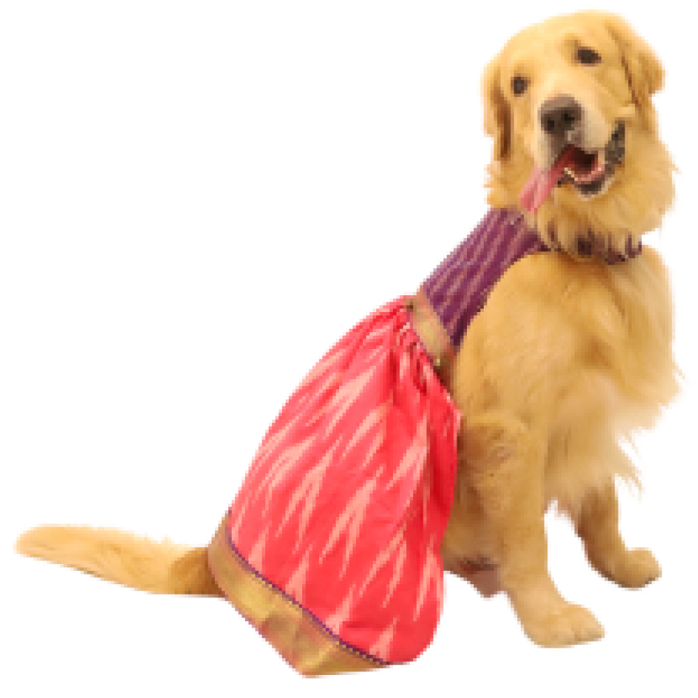Floof & Co Silk Ikat Lehenga for Dogs (Pink & Purple)