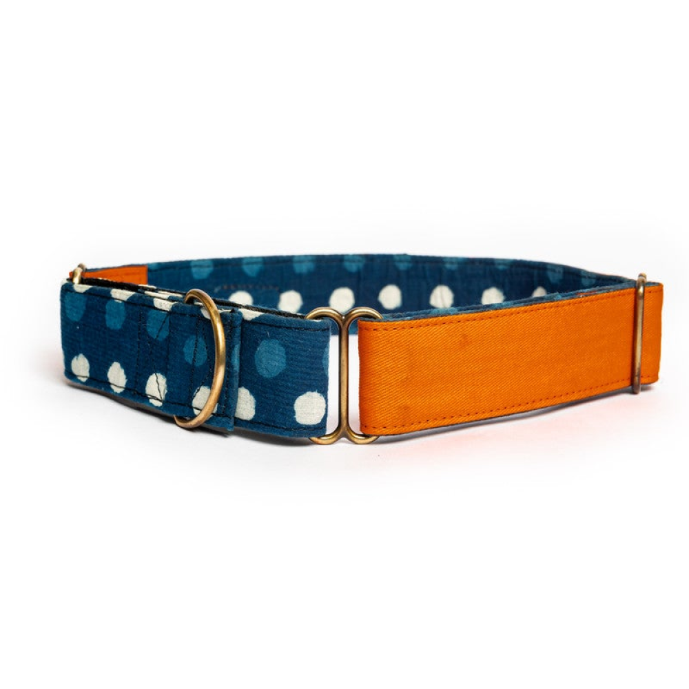 PetWale Martingale Collar for Dogs (Orange)
