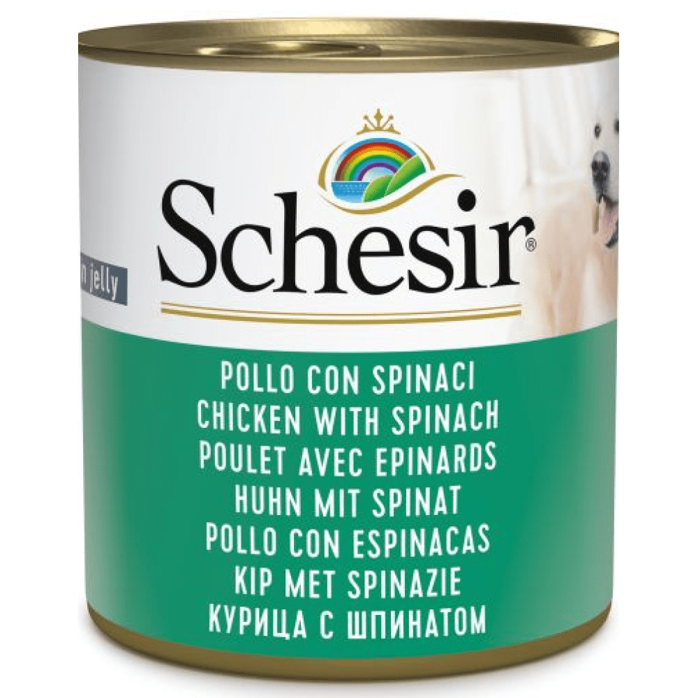 Schesir Chicken and Rice with Spinach in Jelly Dog Wet Food