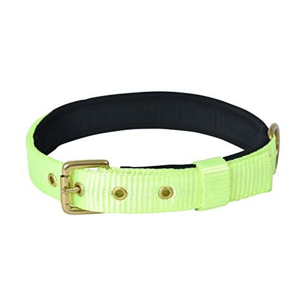 Glenand Petz Pure Nylon Padded Collar for Dogs (Light Green,1 inches)