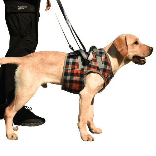 A Plus A Pets Multi Function Vest Style Harness for Dogs