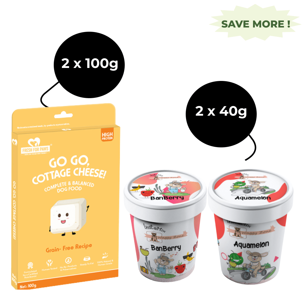 Fresh For Paws Go Go Cottage Cheese Wet Food and Waggy Zone Banberry & Watermelon Aquamelon Ice Cream for Dogs Combo