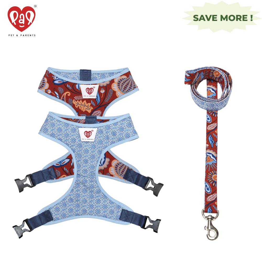 Pet And Parents Indie Floral Reversible Harness and Leash for Dogs Combo