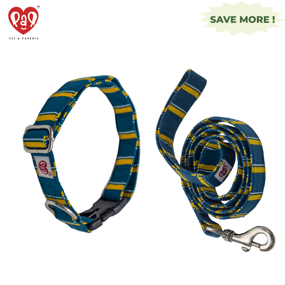 Pet And Parents Turquoise Collar and Leash for Dogs Combo