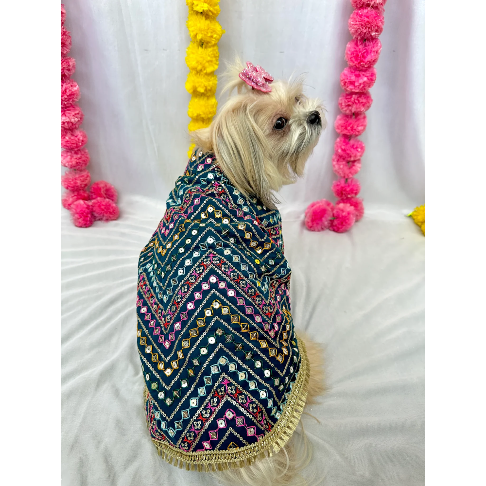 Furvanity Jodhpuri Mirror Work Sherwani for Dogs and Cats (Teal)
