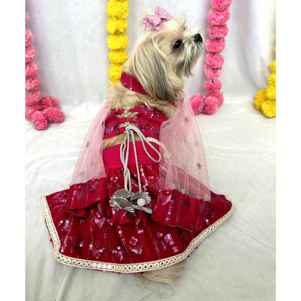 Furvanity Lehenga Choli with Dupatta for Dogs and Cats (Hot Pink)