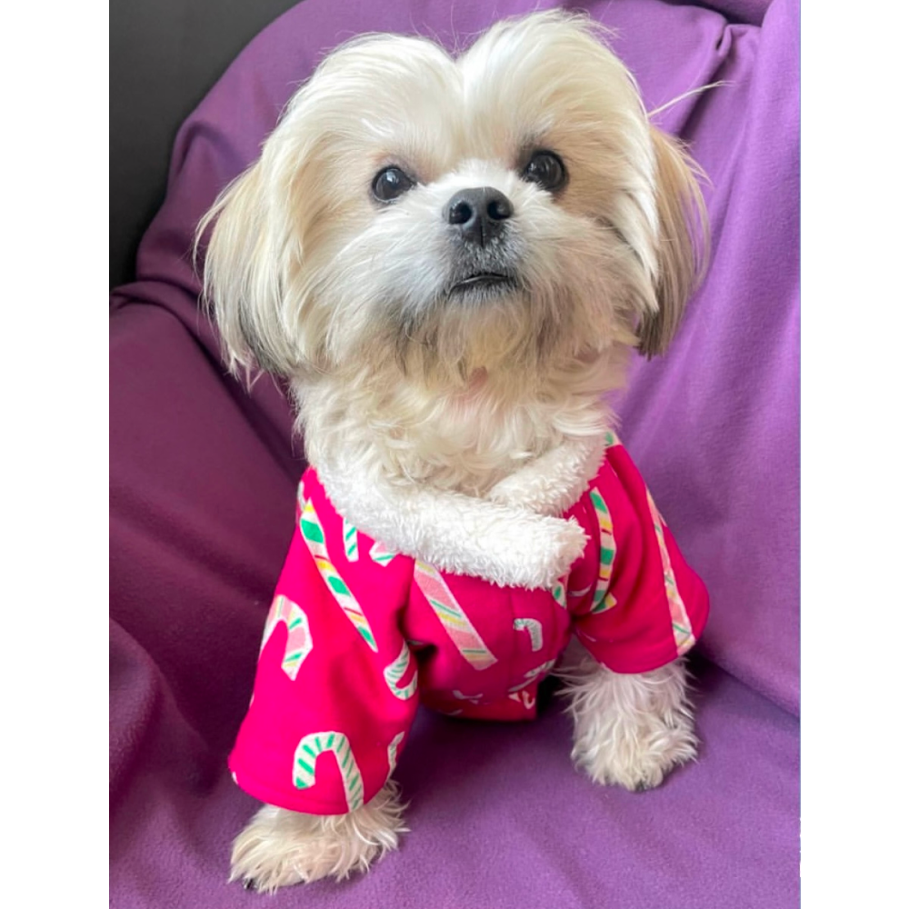 Furvanity Candy Coat for Dogs and Cats (Pink)