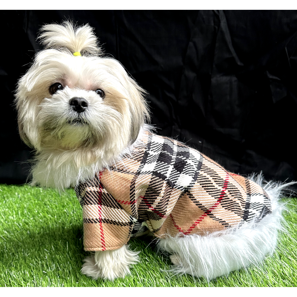 Furvanity Burberyy Coat for Dogs and Cats (Brown)
