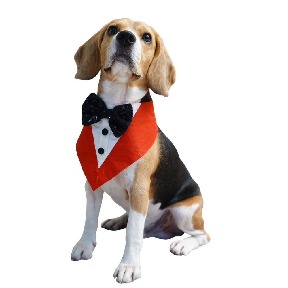 Floof & Co Silk Tuxedo for Dogs (Red)