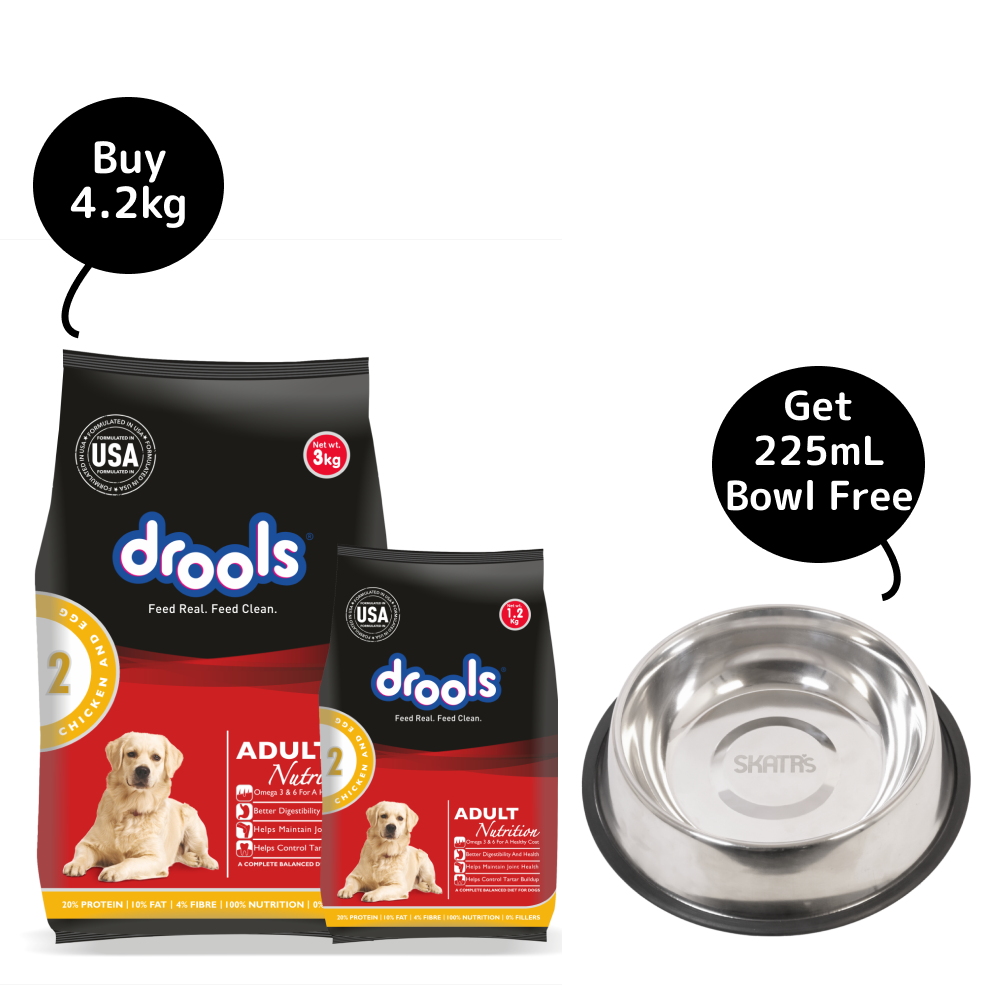 Drools Chicken and Egg Adult Dog Dry Food (Get Skatrs Bowl Free)