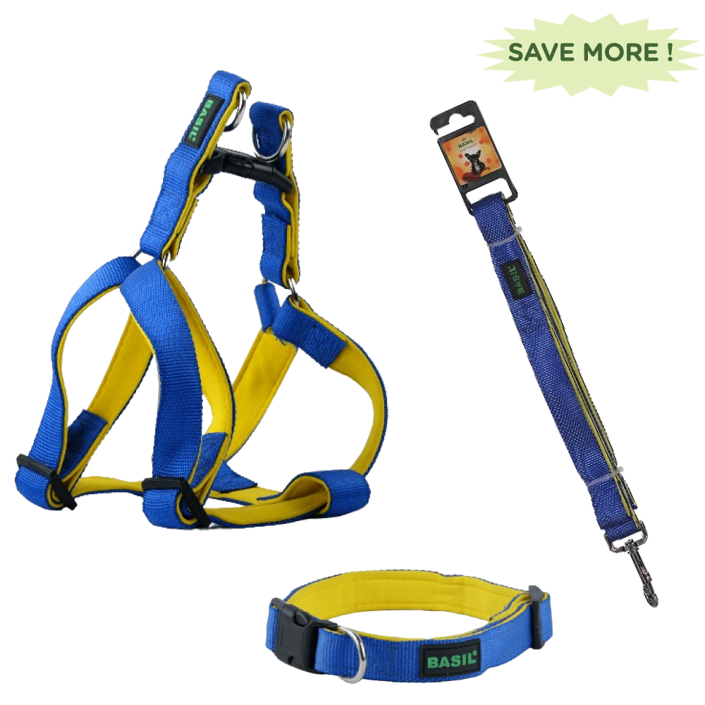 Basil Nylon Padded Adjustable Harness, Nylon Padded Leash and Padded Collar for Dogs Combo (Blue) - S