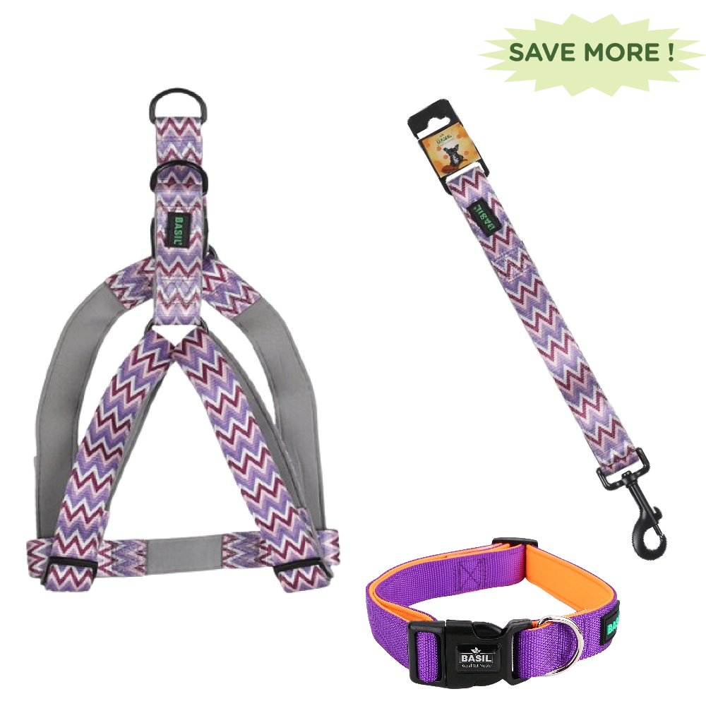 Basil Printed Adjustable Harness, Printed Leash and Nylon Padded Collar for Dogs Combo (Purple) - S