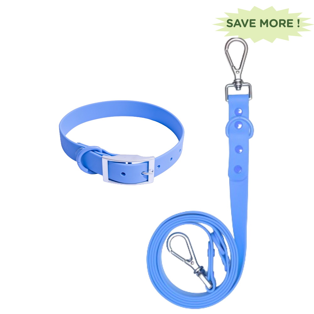 Furry & Co Weatherproof Collar and Leash for Dogs Combo (Everest Blue) - M