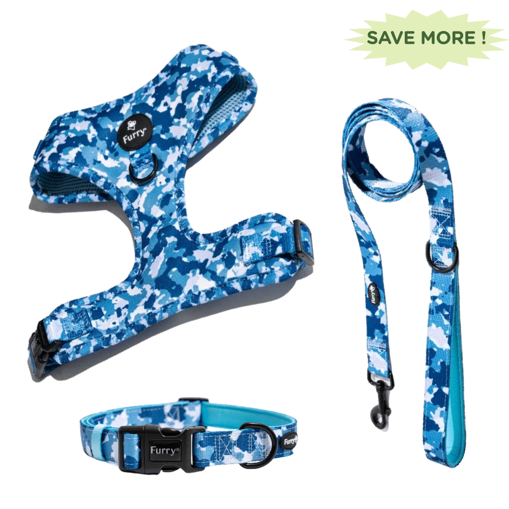 Furry & Co Cool Camo No Pull Harness, Leash and Collar for Dogs Combo - S