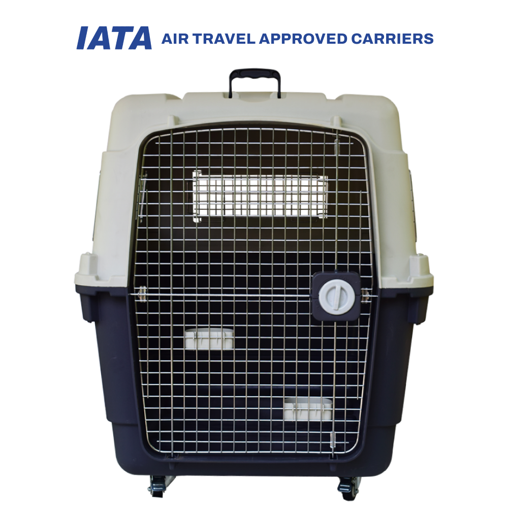 Smarty Pets IATA Approved Flight Carrier for Dogs and Cats (Beige/Navy Blue)