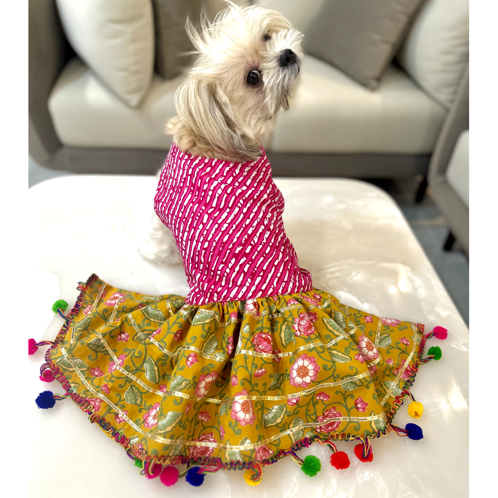 Furvanity Floral Gota Dress for Dogs and Cats (Yellow/Pink)