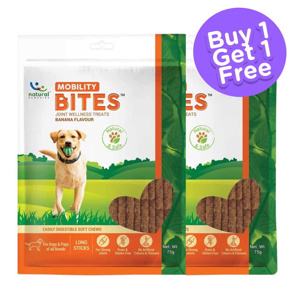 Natural Remedies Mobility Bites Chew Treats for Dogs (Buy 1 Get 1) (Limited Shelf Life)