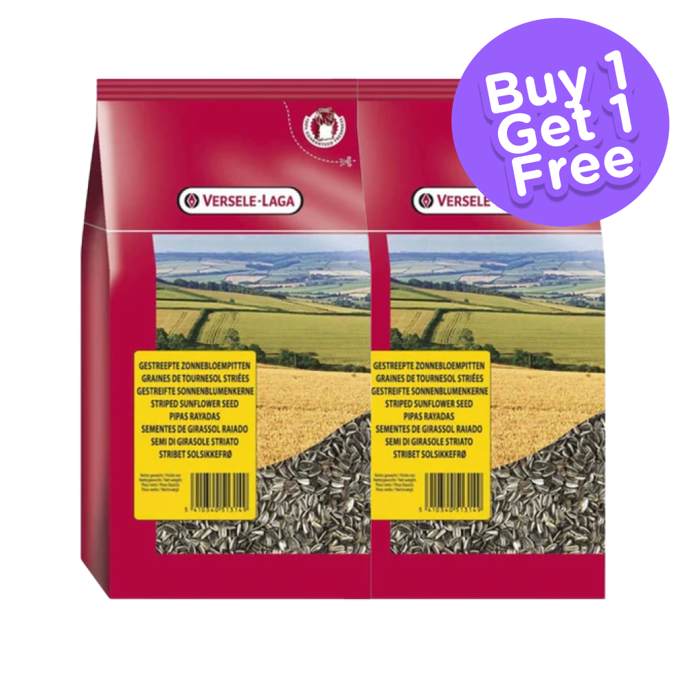 Versele Laga Sunflower Seeds Striped for Birds (Buy 1 Get 1) (Limited Shelf Life)