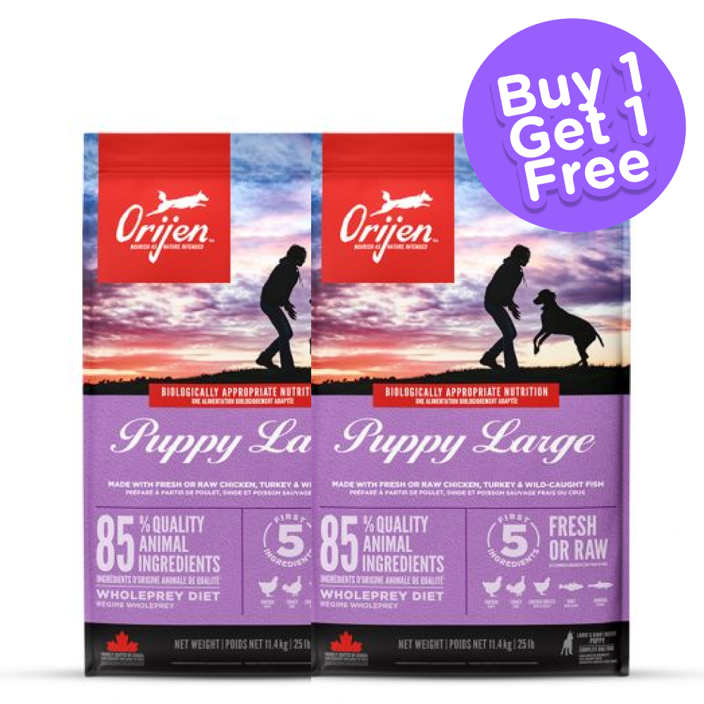 Orijen Large Puppy Dry Food (Buy 1 Get 1) (Limited Shelf Life)