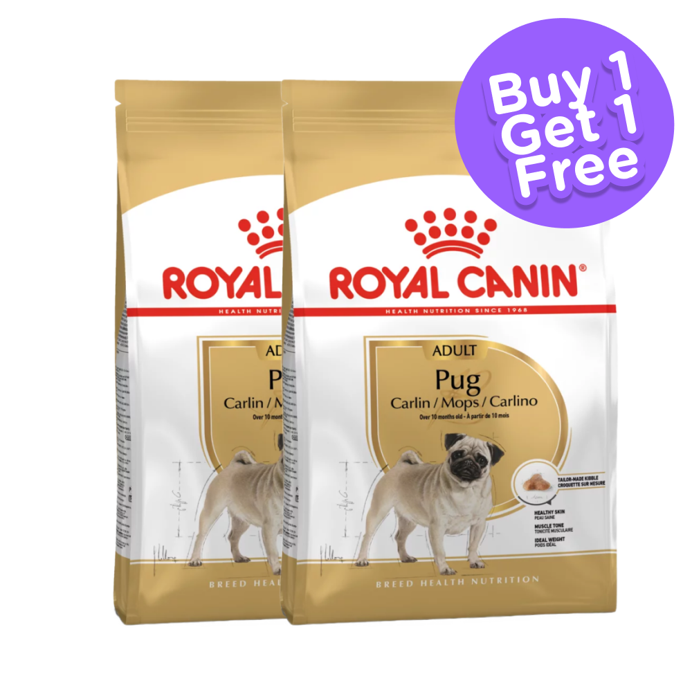 Royal Canin Pug Adult Dog Dry Food (Buy 1 Get 1) (Limited Shelf Life)
